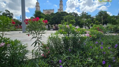 Mérida, una de las cuatro ciudades más cara para vivir