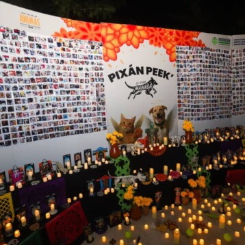 Pixán Peek, una celebración para recordar a nuestras mascotas