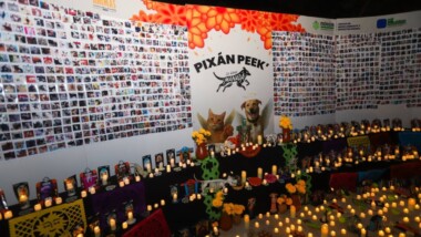 Pixán Peek, una celebración para recordar a nuestras mascotas