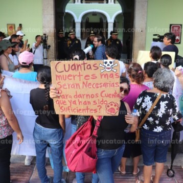 Preocupa violencia contra los animales en Yucatán