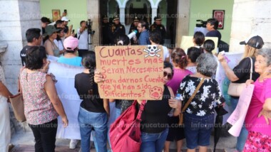 Preocupa violencia contra los animales en Yucatán