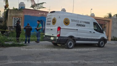 Rescatan a perros abandonados en Ciudad Caucel
