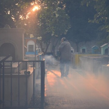 Fumigan panteones