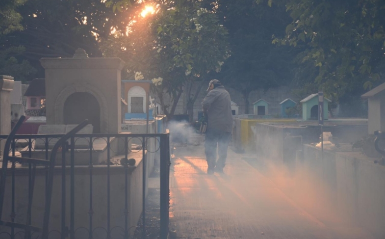Fumigan panteones
