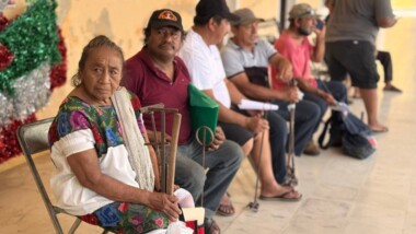 Seder promueve registro gratuito de fierros ganaderos en Yucatán