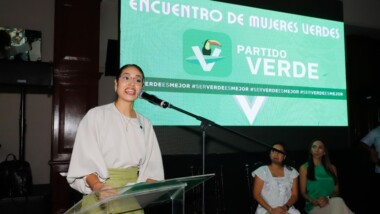 Expriista, nueva dirigente del PVEM en Yucatán