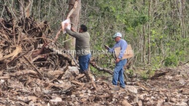 Clausuran obras de la empresa Crío sobre la ciudad maya de Tzemé