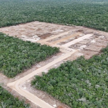 Crío devastó Tzemé: Profepa