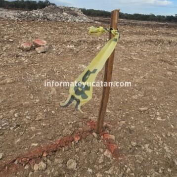 Granja avícola burla sellos de clausura de la 4T en Kinchil (Video)