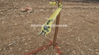 Granja avícola burla sellos de clausura de la 4T en Kinchil (Video)