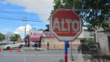 Exigen una solución vial