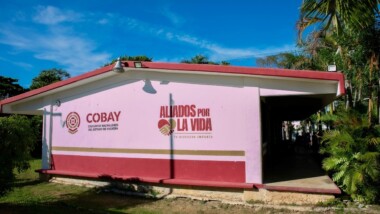 “Llegó la Navidad” al Cobay y Cecitey, ya depositaron el aguinaldo