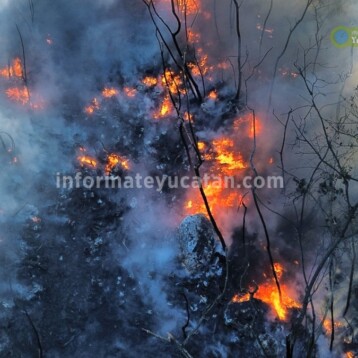 Otro incendio, ahora en Susulá