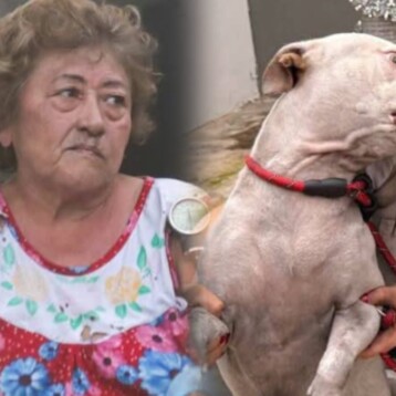 Mujer de la tercera edad intenta salvar a su perrita durante  un incendio
