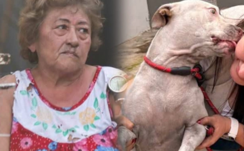Mujer de la tercera edad intenta salvar a su perrita durante  un incendio