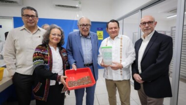 Yucatán, referente nacional en innovación para el control del dengue y otras arbovirosis