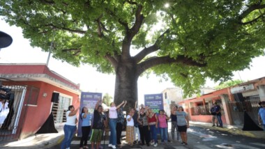 Actualizan el Plan de Infraestructura Verde