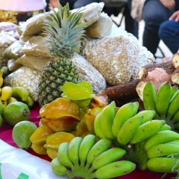 Regresa el Mercado Renacer al Parque La Plancha