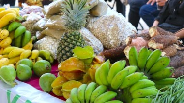 Regresa el Mercado Renacer al Parque La Plancha