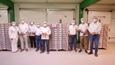 Mamey yucateco cruza el charco y llega al Reino Unido