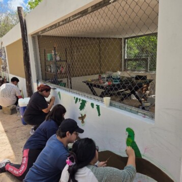 Estudiantes llenan de color espacio para rescate de aves