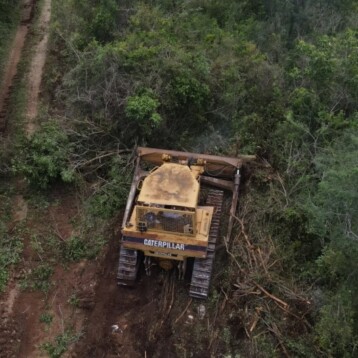 Deforestaron la Reserva Cuxtal y su castigo es “reforestar”