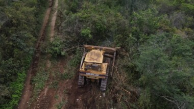 Deforestaron la Reserva Cuxtal y su castigo es “reforestar”