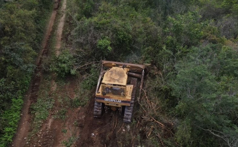 Deforestaron la Reserva Cuxtal y su castigo es “reforestar”