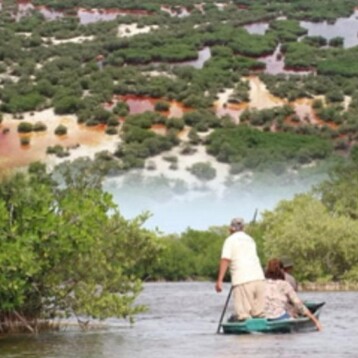 Blindan El Palmar en Celestún