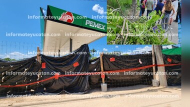 Talan árboles por nueva gasolinera