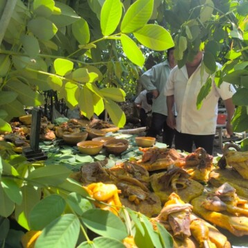 Campesino maya mantiene viva la ofrenda por la lluvia