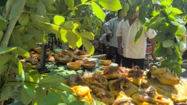 Campesino maya mantiene viva la ofrenda por la lluvia