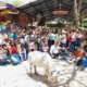 Experiencia inclusiva en Ponylandia