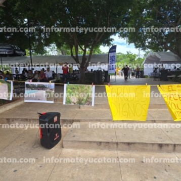 Denuncian abandono de un parque