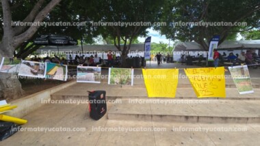 Denuncian abandono de un parque