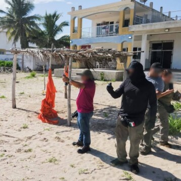 Castigo a pescadores por dañar manglar en Sisal
