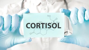 Cortisol: ni enemigo ni culpable de todo, aclara el IMSS