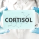 Cortisol: ni enemigo ni culpable de todo, aclara el IMSS