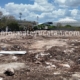 La mancha urbana acecha a Dzoyilá; denuncian destrucción de antigua ciudad maya en Mérida
