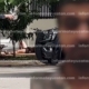 Jordano sería el principal sospechoso del ataque contra mujer cubana en Las Américas
