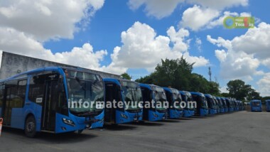 Otro paro en Circuito Metropolitano