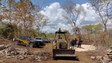 “Golpe al pulmón verde de Mérida”
