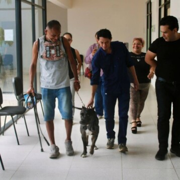 Zeus regresa a casa