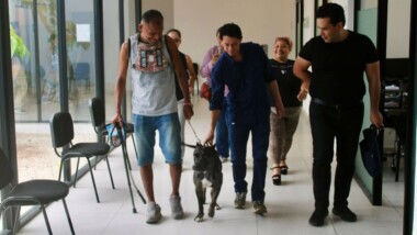 Zeus regresa a casa