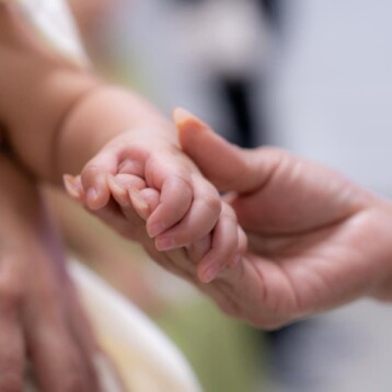 Dos nuevas historias de amor comienzan en Yucatán