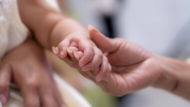 Dos nuevas historias de amor comienzan en Yucatán