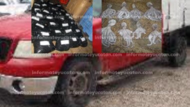 Vinculan a proceso a yucatecos por transportar pulpo en veda