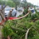 Investigan ecocidio en Circuito Colonias
