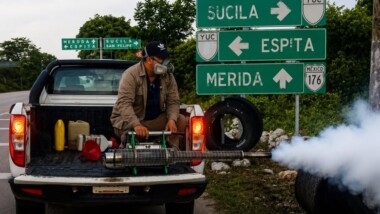 Yucatán reduce casi 88% los casos de dengue