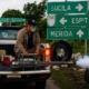 Yucatán reduce casi 88% los casos de dengue